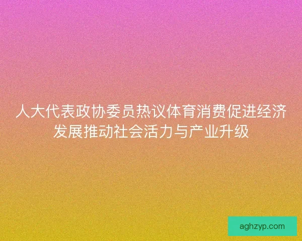 人大代表政协委员热议体育消费促进经济发展推动社会活力与产业升级