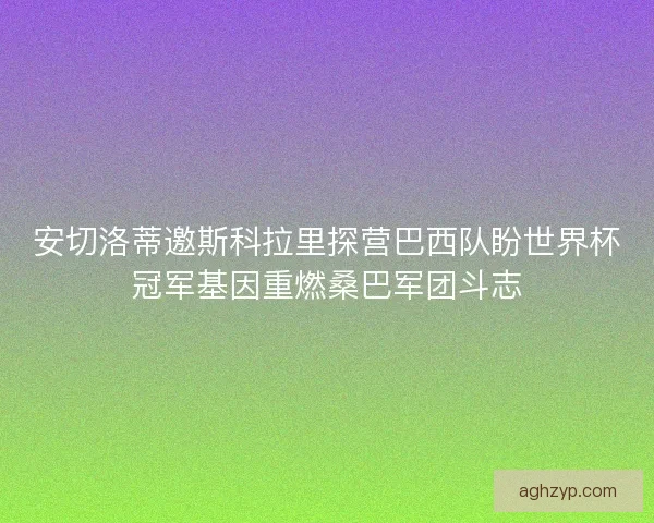 安切洛蒂邀斯科拉里探营巴西队盼世界杯冠军基因重燃桑巴军团斗志